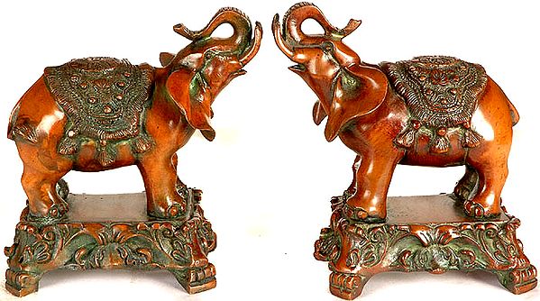 Temple Elephant Pair with Upraised Trunks<br>(Supremely Auspicious According to Vastu)
