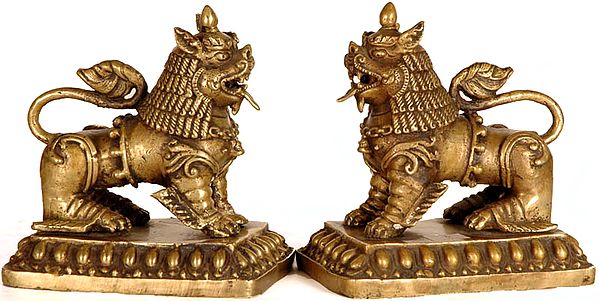 Temple Guardian Lion Pair