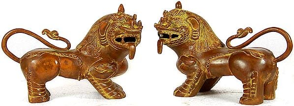 Temple Lion Pair (Price Per Pair)