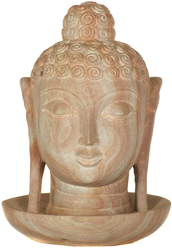 The Buddha Head