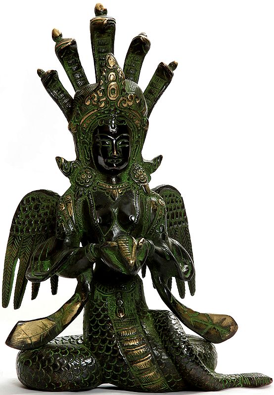 Naga Kanya (The Snake Woman)