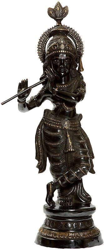 Lord Sri Krishna - The Black Beauty