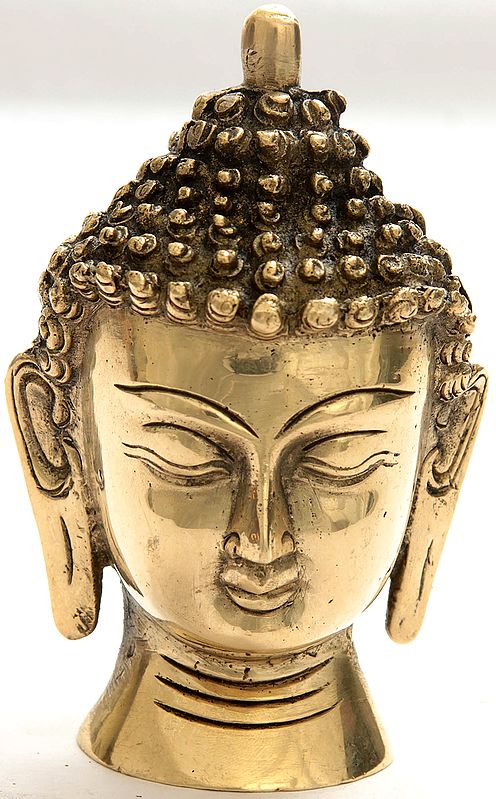 Mathura Buddha Head