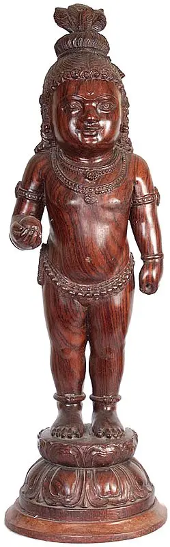 Baby Krishna