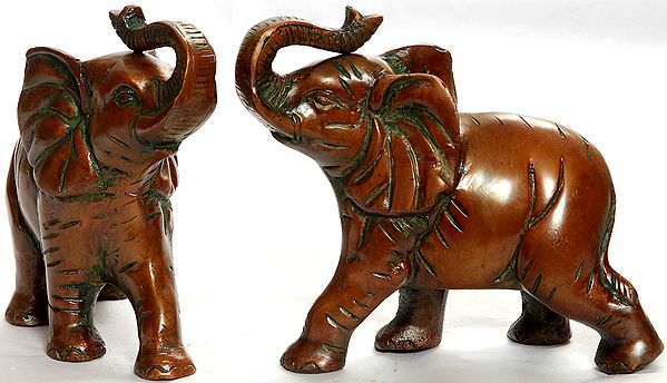 Elephant Pair with Upraised Trunks (Supremely Auspicious According to Vastu)