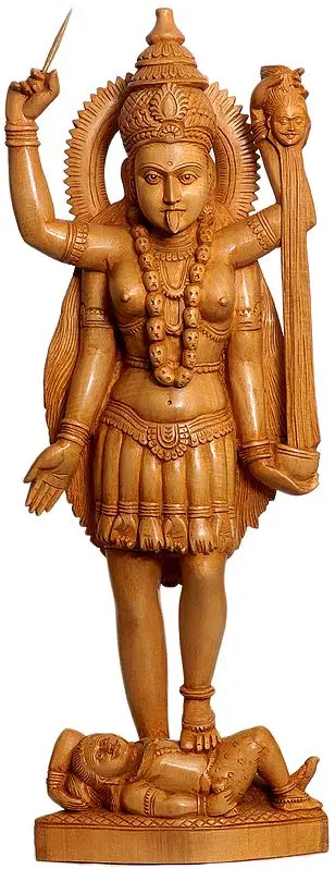 'Wearing' The Offerings of Her Devotees