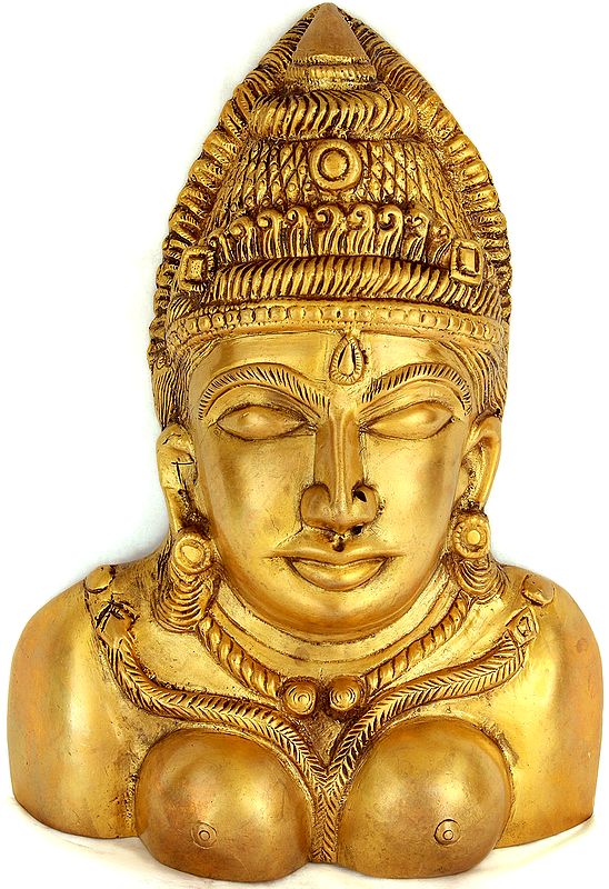 Wall Hanging Devi Bust Exotic India Art