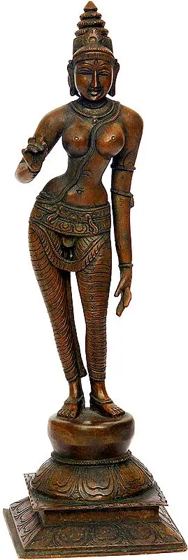 Goddess Parvati