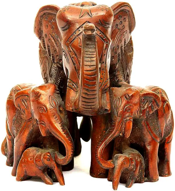 Elephant Family