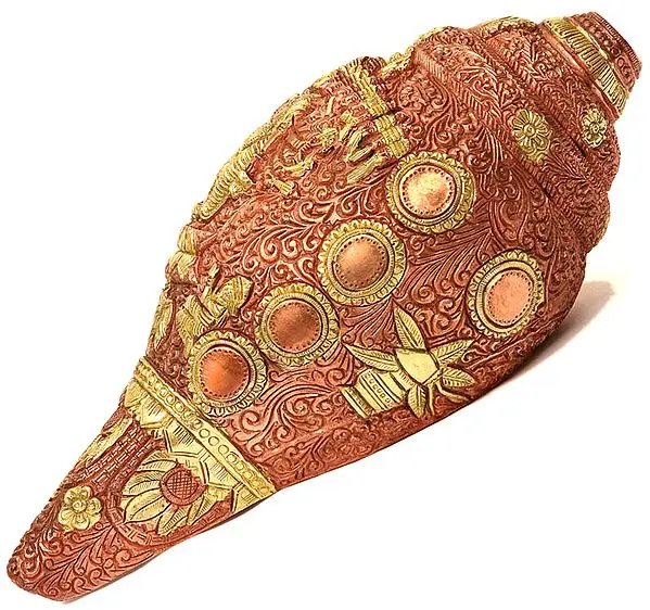 Vishvarupa Vishnu Conch