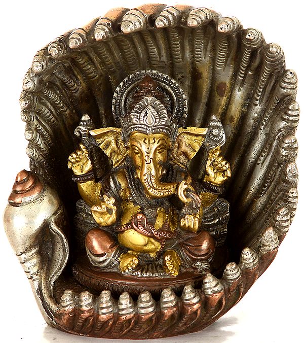 Lord Ganesha in an Oyster