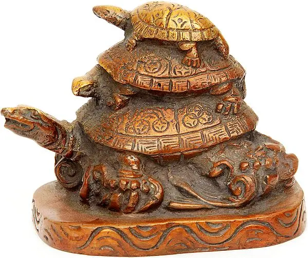 Feng Shui Tortoise