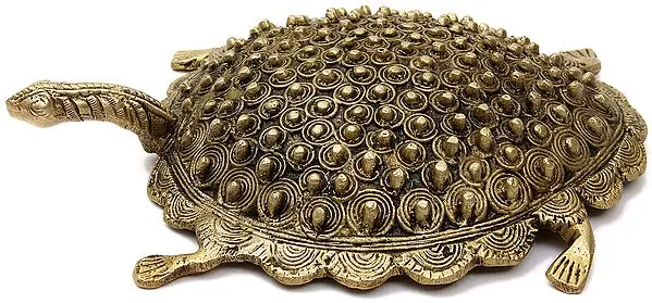 Feng Shui Tortoise