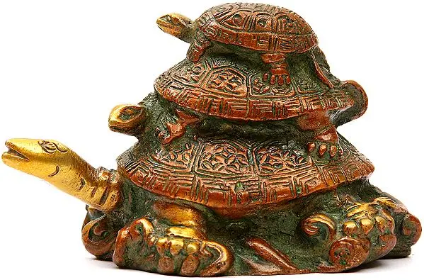 Feng Shui Tortoise