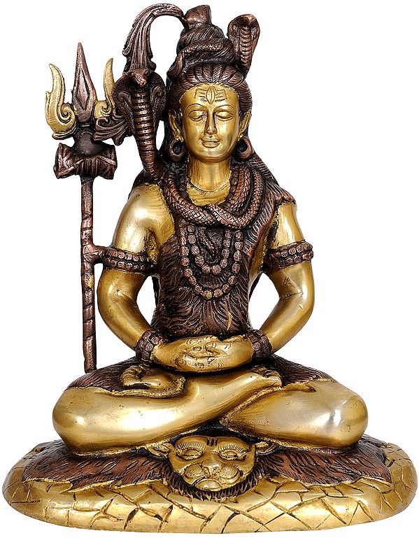 10" Mahayogi Shiva In Brass | Handmade | Made In India