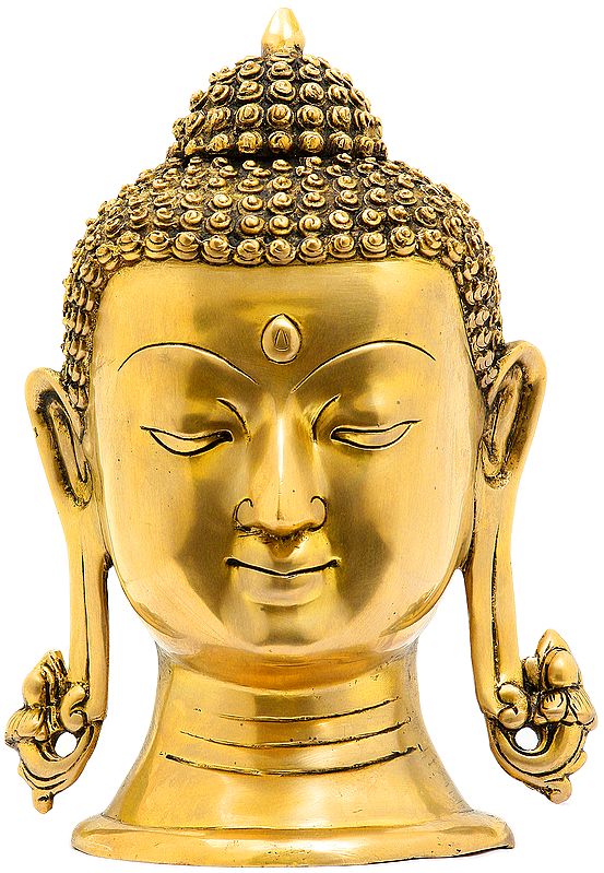 Buddha Head Immersed in Deep Quiescence