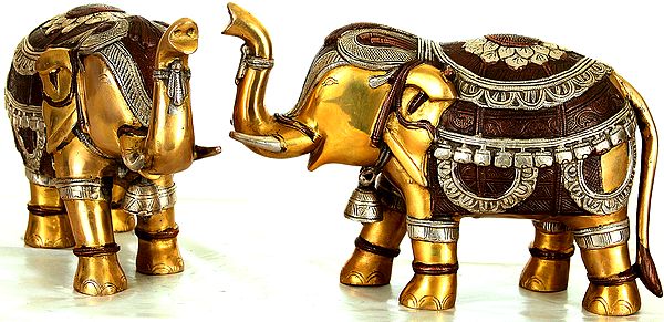 Elephant Pair with Bells and Upraised Trunks (Supremely Auspicious According to Vastu)