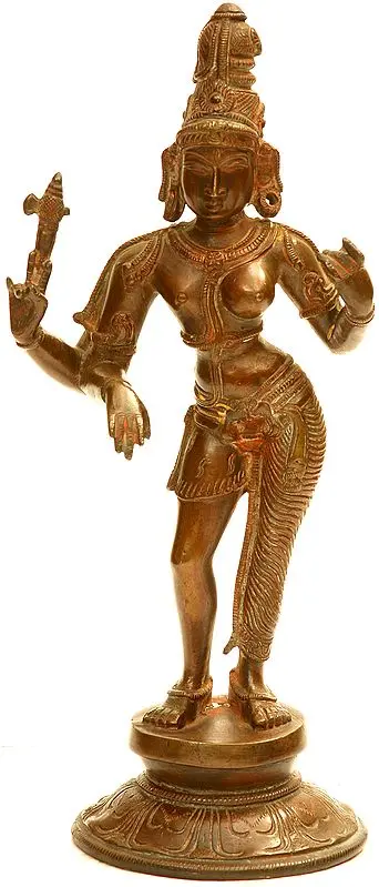 Ardhanarishvara