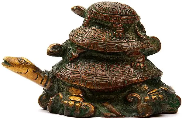 Feng Shui Tortoise