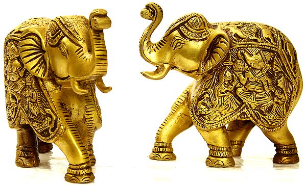 Elephant Pair (Carved with the Figures of Lord Ganesha Over Cloth)