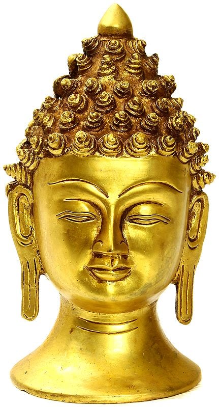 The Enlightened Buddha