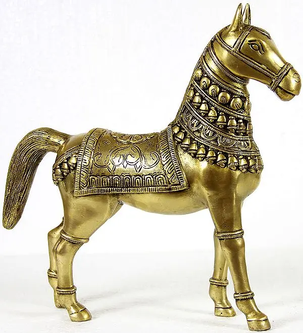 Saddled Horse