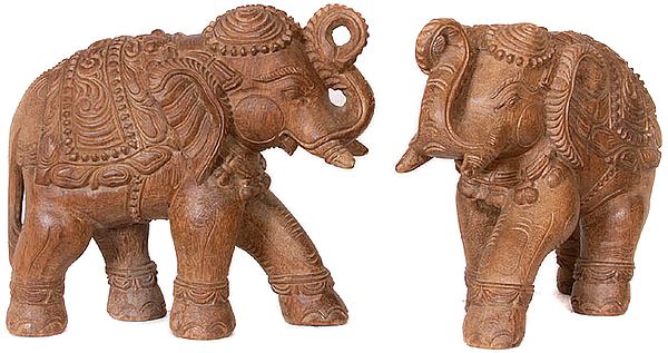 Handcrafted Elephant Pair