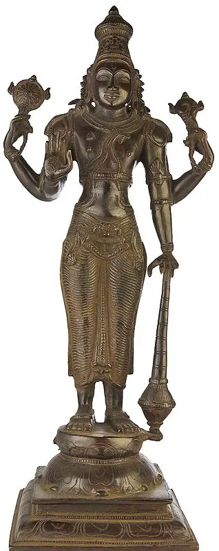 Lord Vishnu: The Cosmic Commander