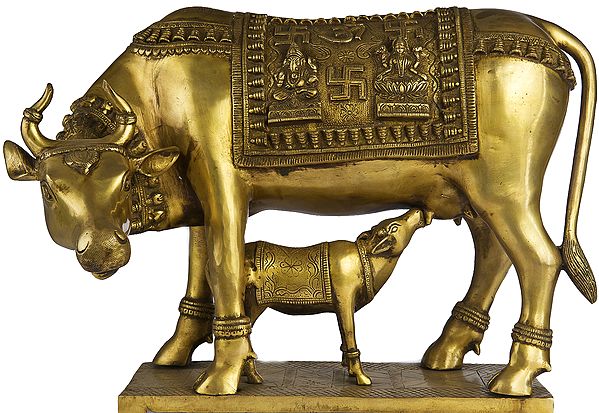 Cow and Calf - Most Sacred Animal of India (Saddle Decorated with Lakshmi Ganesha)