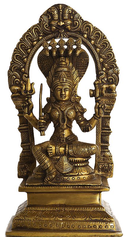 Goddess Mariamman - South Indian Durga