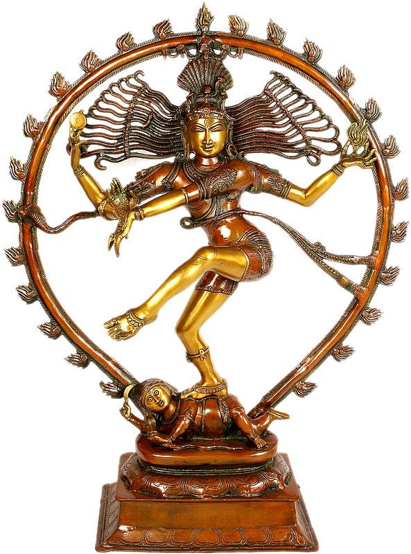 35" Large Size Nataraja in Brown and Gold Hues In Brass | Handmade | Made In India