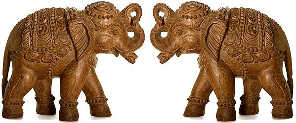 Decorated Elephant Pair
