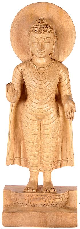 Standing Buddha in Abhaya Mudra