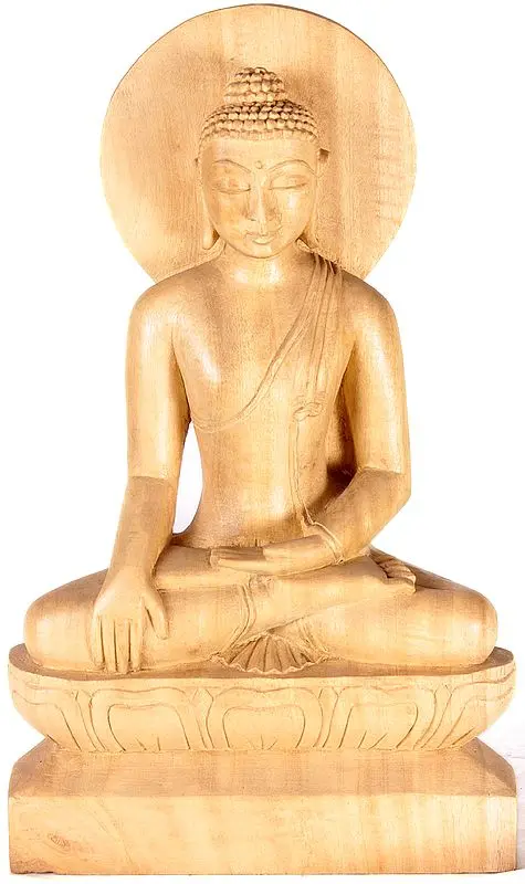 The True Ascetic