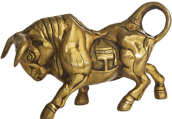 Bull -  The Vehicle of Dharmaraja Yama