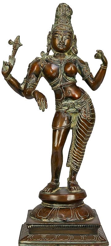 Ardha-narishvara Form of Lord Shiva
