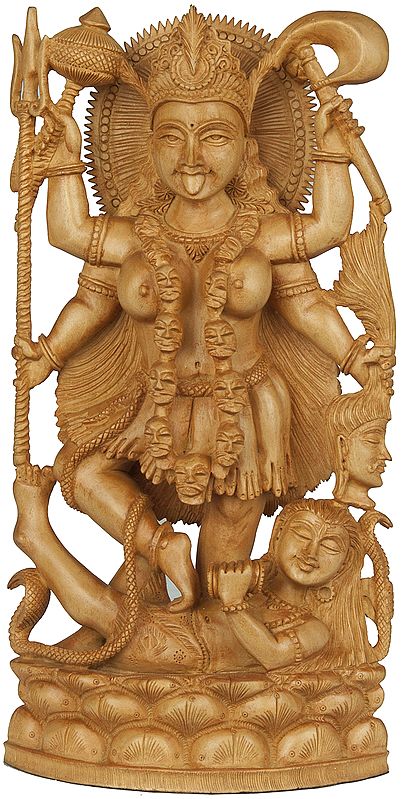 A Narrative Sculpture of Goddess Kali