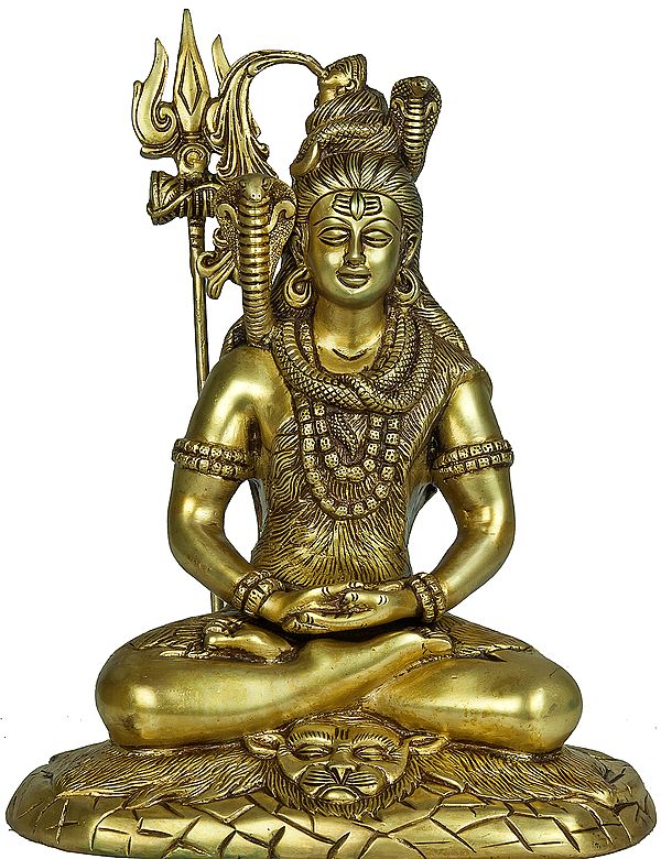 Gangadhara Shiva in Dhyana Mudra | Exotic India Art