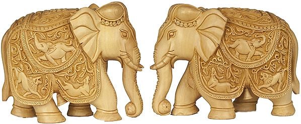 Royal Elephant Pair (Saddle Carved with the Scenes from Wild Life)