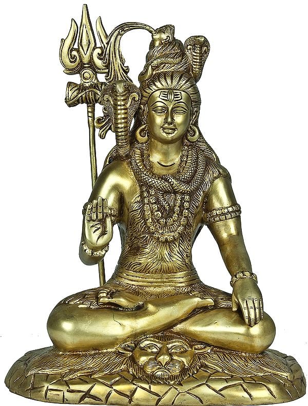 Mahayogi Shiva in Abhaya Mudra