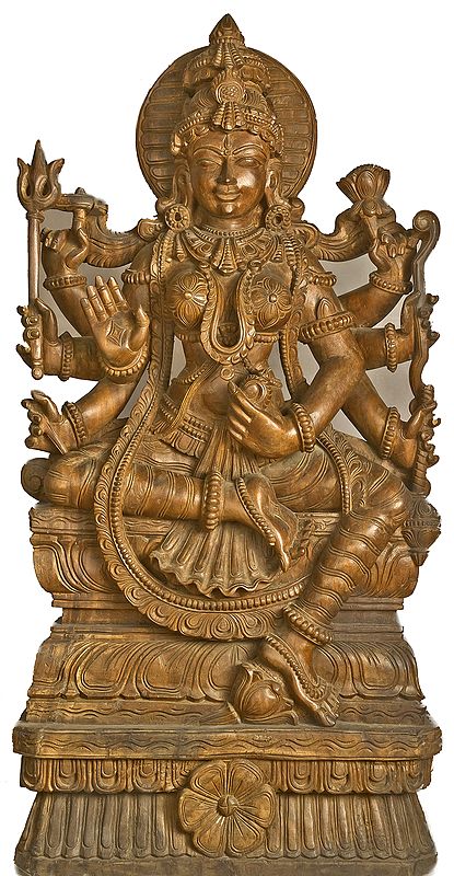 Ashta-Bhuja-Dhari Adi-Devi: The First Ever Goddess