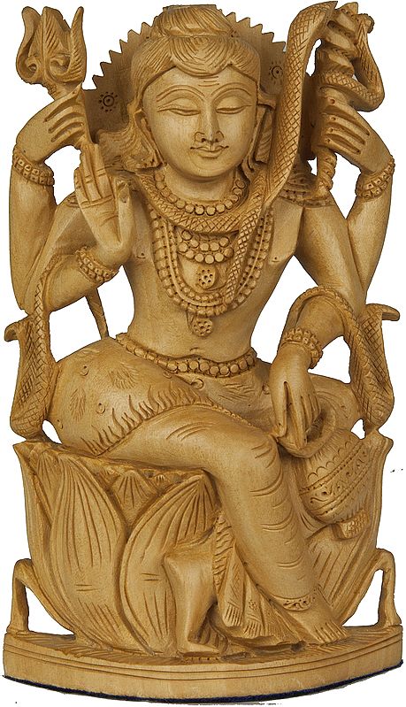Lord Shiva Seated on Lotus