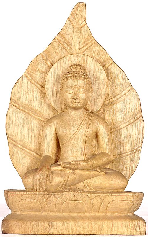 Lord Buddha Seated in Bhumisparsha Mudra in the Backdrop Pipal Leaf