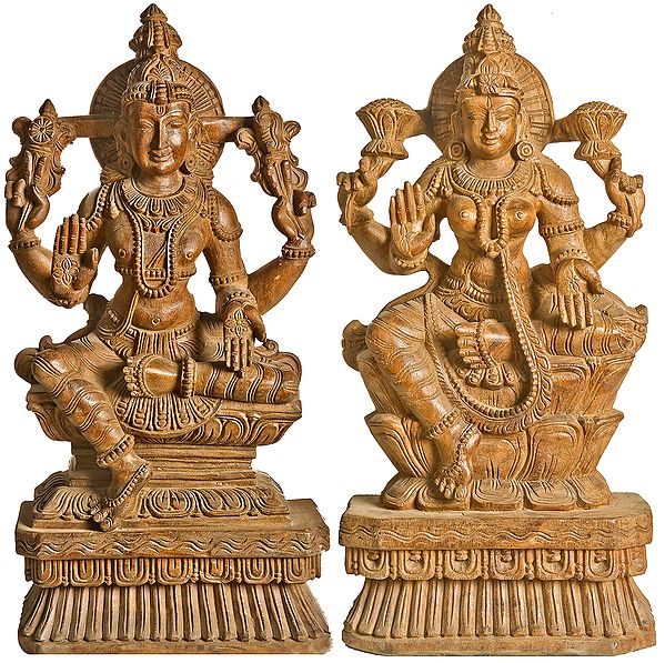 Lakshmi Vishnu
