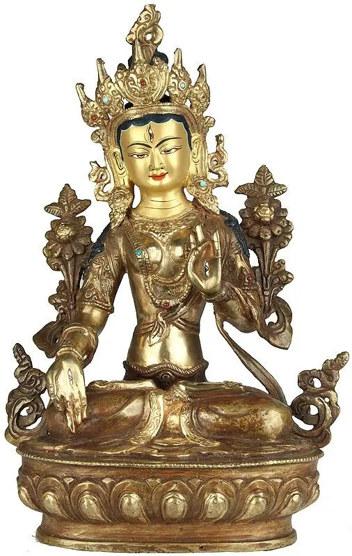 The Vigilance of Compassion