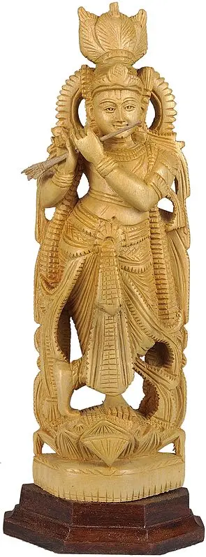 Murali Krishna