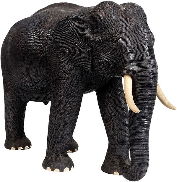 Fine and Realistic Rendered Elephant