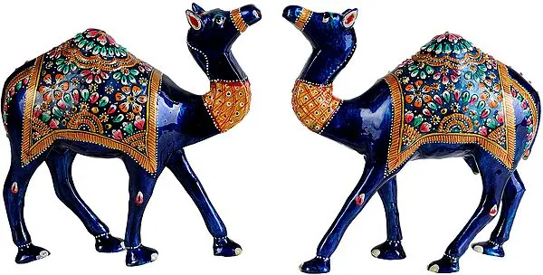 Camel Pair