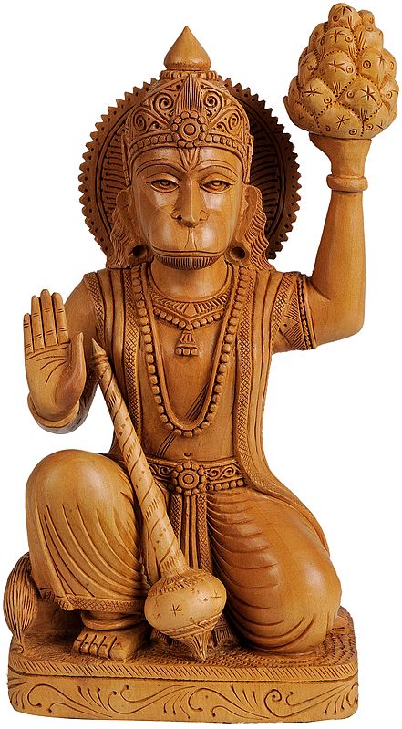 Lord Hanuman Carrying Mount Dron Full of Sanjeevani Herbs