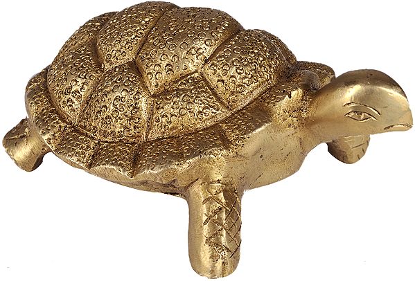 3" Tibetan Buddhist Feng Shui Tortoise In Brass | Handmade | Made In India
